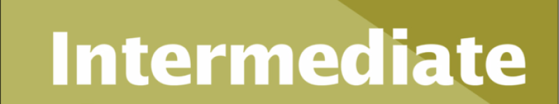 Intermediate-German-A-Grammar-And-Workbook-683x1024