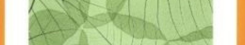 Mindfulness In Plain English