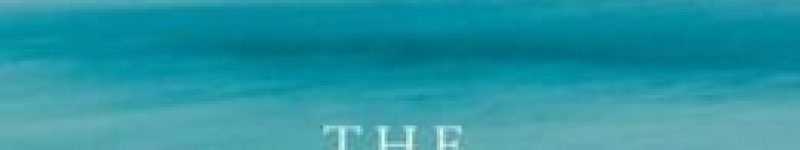 The Surrender Experiment